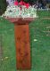 Thép corten nghệ thuật (48)