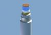 cadivi-dvv/sc/dsta-06/1-kv-cap-dieu-khien-ruot-dong-cach-dien-pvc-co-man-chan-chong-nhieu-giap-2-lop-bang-thep-vo-pvc - ảnh nhỏ  1